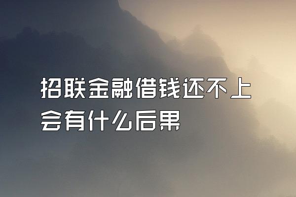 招联金融借钱还不上会有什么后果