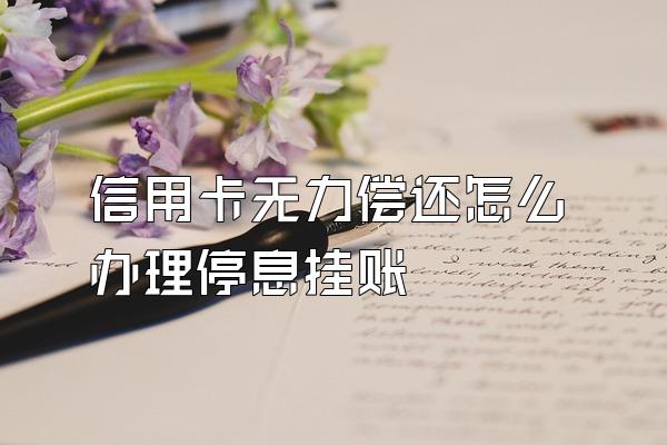 信用卡无力偿还怎么办理停息挂账