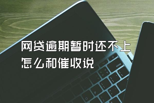 网贷逾期暂时还不上怎么和催收说