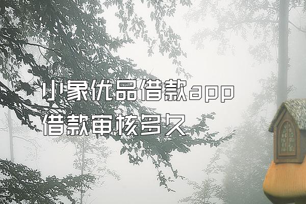 小象优品借款app借款审核多久