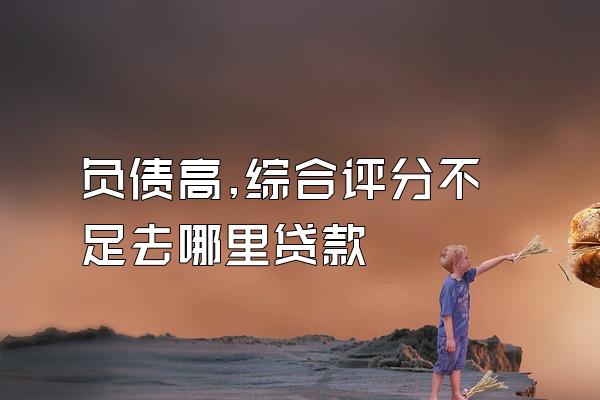 负债高,综合评分不足去哪里贷款