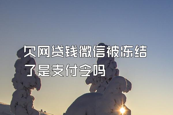 欠网贷钱微信被冻结了是支付令吗