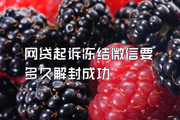 网贷起诉冻结微信要多久解封成功