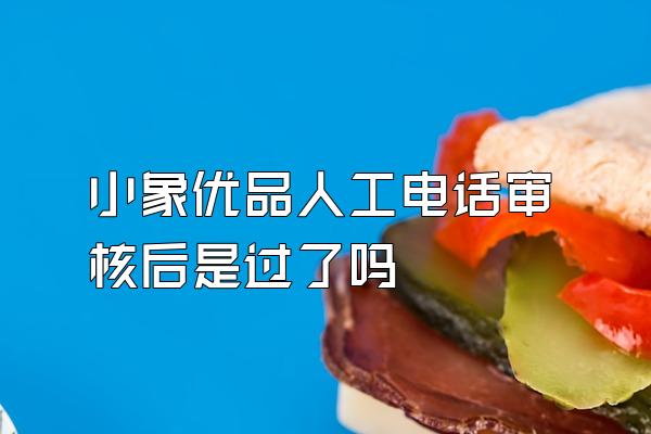 小象优品人工电话审核后是过了吗