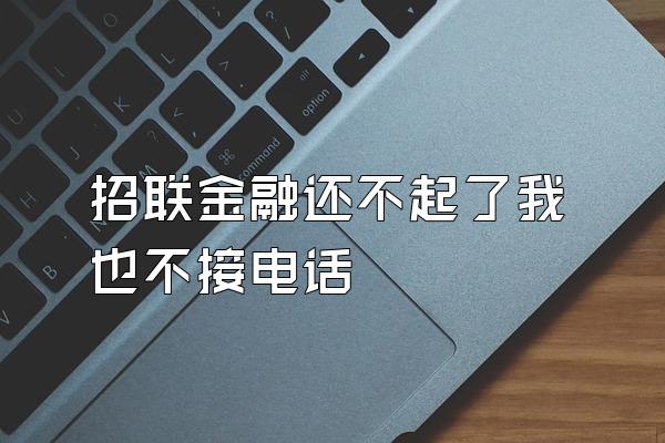 招联金融还不起了我也不接电话