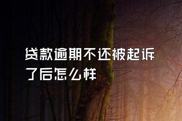 贷款逾期不还被起诉了后怎么样