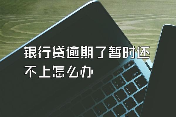 银行贷逾期了暂时还不上怎么办