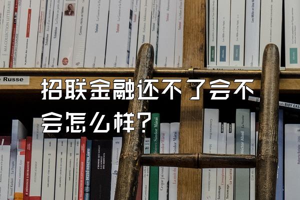 招联金融还不了会不会怎么样?