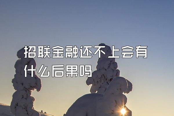 招联金融还不上会有什么后果吗