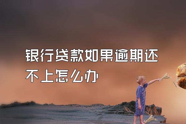 银行贷款如果逾期还不上怎么办