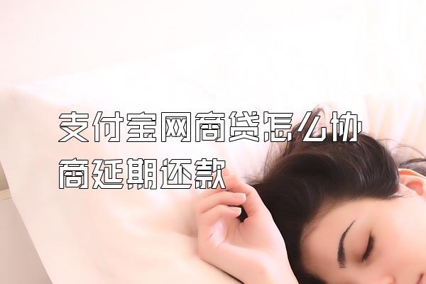 支付宝网商贷怎么协商延期还款