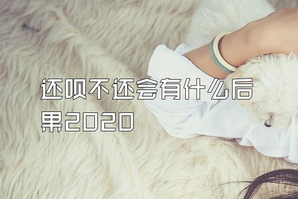 还呗不还会有什么后果2020