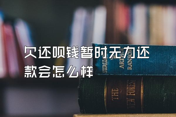 欠还呗钱暂时无力还款会怎么样