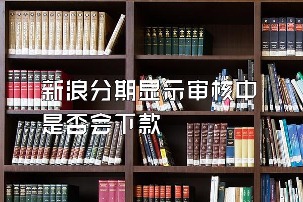 新浪分期显示审核中是否会下款