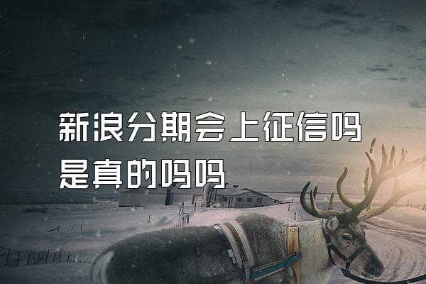 新浪分期会上征信吗是真的吗吗