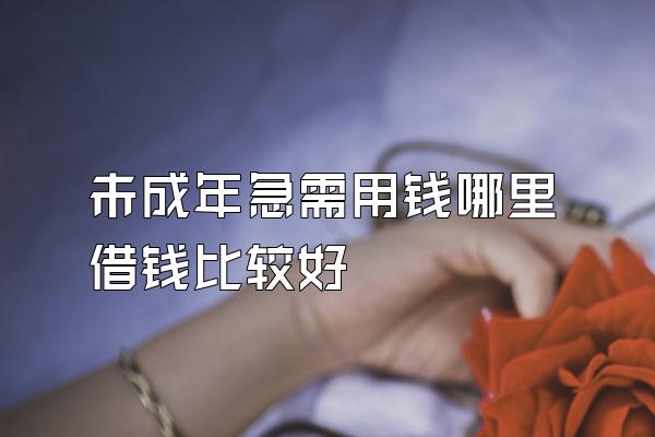 未成年急需用钱哪里借钱比较好