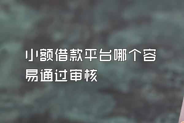 小额借款平台哪个容易通过审核