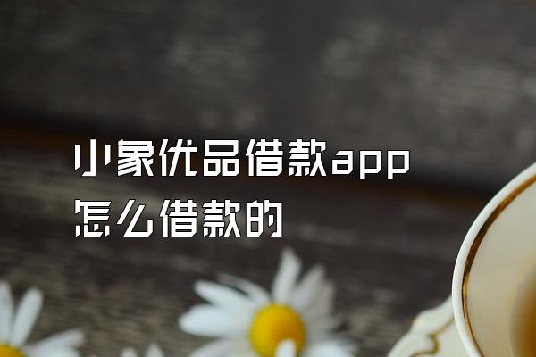 小象优品借款app怎么借款的