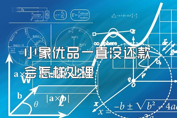 小象优品一直没还款会怎样处理