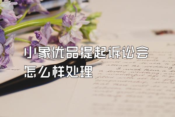 小象优品提起诉讼会怎么样处理