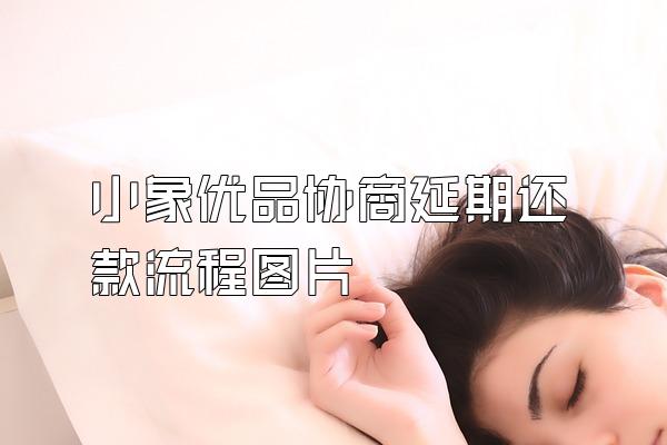 小象优品协商延期还款流程图片