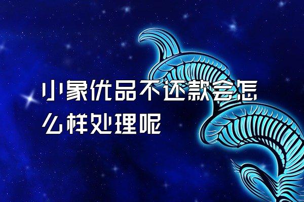 小象优品不还款会怎么样处理呢