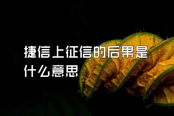 捷信上征信的后果是什么意思