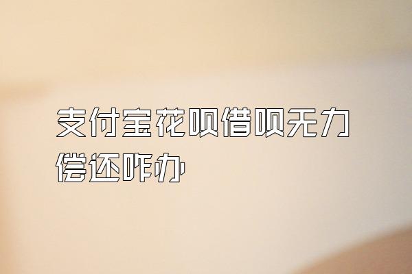 支付宝花呗借呗无力偿还咋办