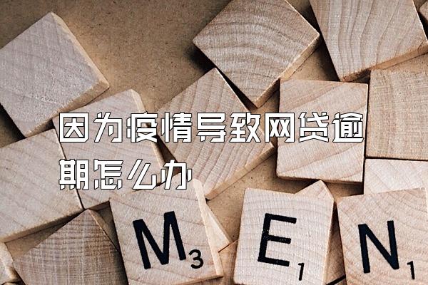 因为疫情导致网贷逾期怎么办