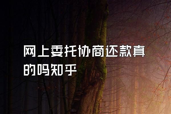 网上委托协商还款真的吗知乎