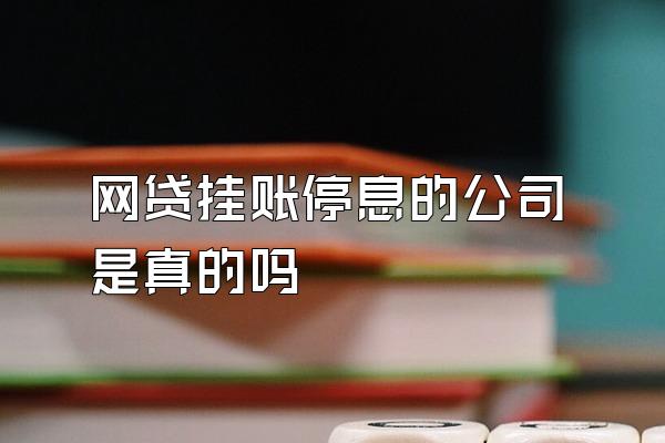 网贷挂账停息的公司是真的吗