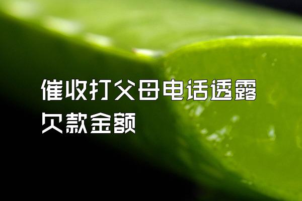 催收打父母电话透露欠款金额