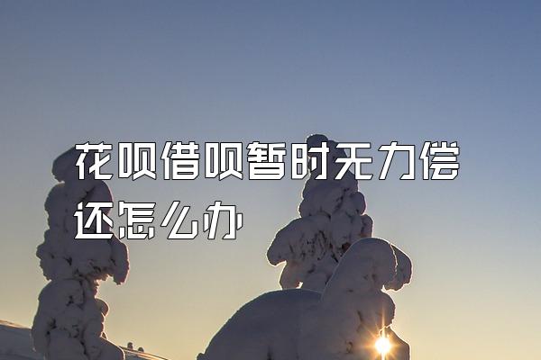 花呗借呗暂时无力偿还怎么办