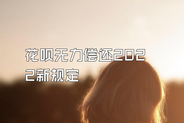 花呗无力偿还2022新规定