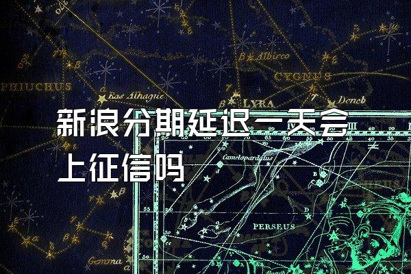 新浪分期延迟一天会上征信吗