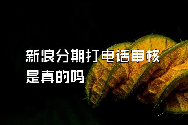 新浪分期打电话审核是真的吗