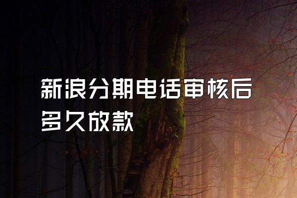 新浪分期电话审核后多久放款