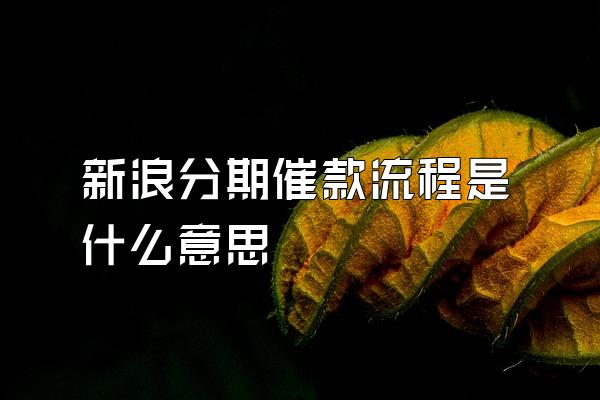 新浪分期催款流程是什么意思