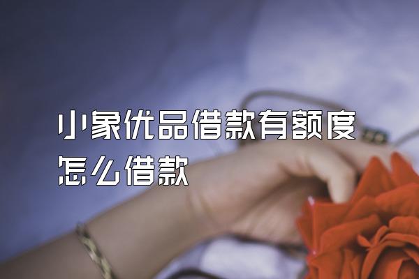 小象优品借款有额度怎么借款