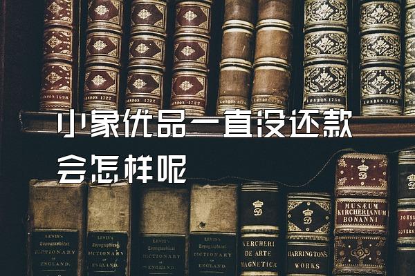 小象优品一直没还款会怎样呢