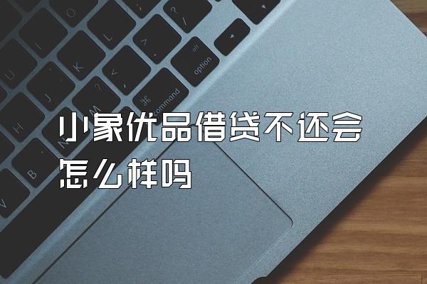 小象优品借贷不还会怎么样吗