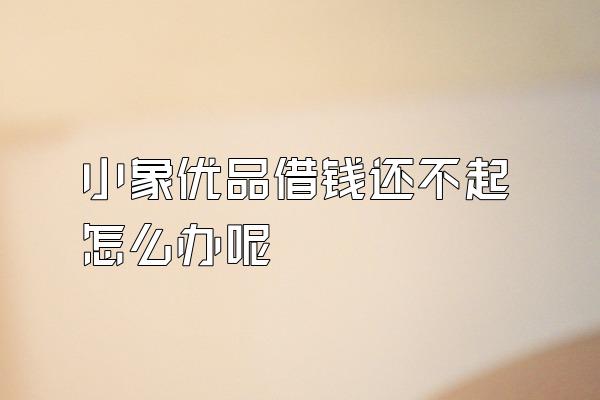 小象优品借钱还不起怎么办呢