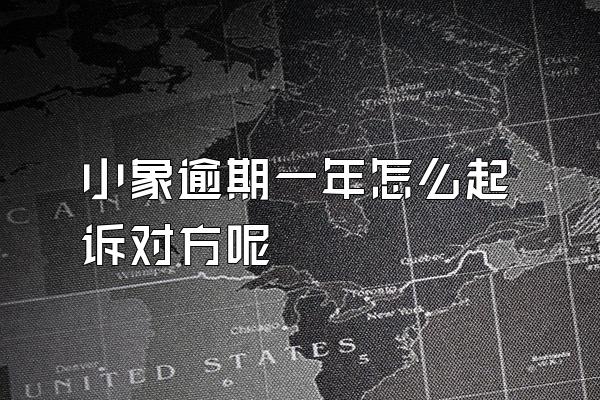 小象逾期一年怎么起诉对方呢