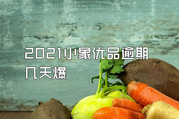 2021小象优品逾期几天爆