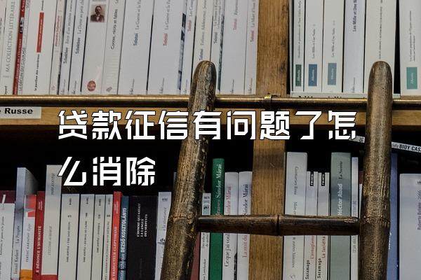 贷款征信有问题了怎么消除