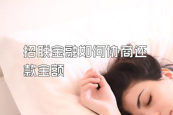 招联金融如何协商还款金额