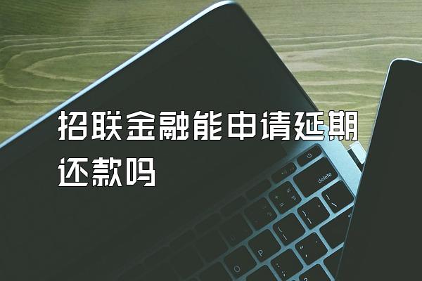 招联金融能申请延期还款吗