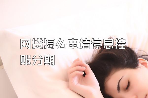 网贷怎么申请停息挂账分期