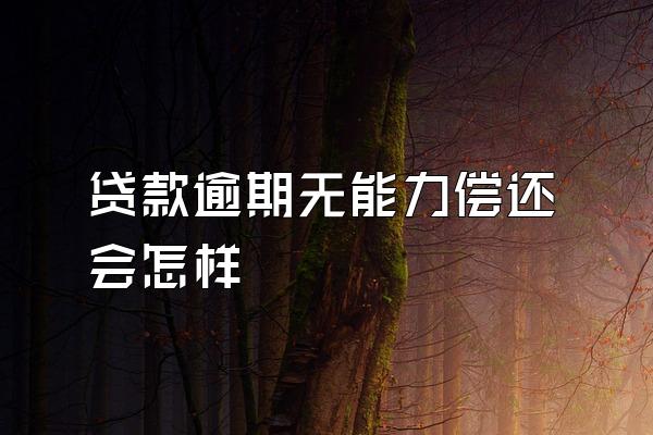 贷款逾期无能力偿还会怎样