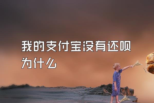 我的支付宝没有还呗为什么